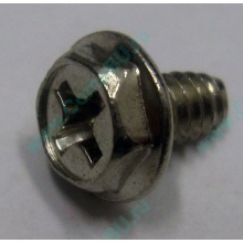 Компьютерный винт "шестигранник" UNC6-32 (Владивосток)