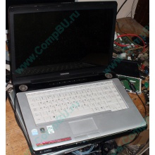 Ноутбук Toshiba Satellite A200-1M4 (Intel Pentium Dual Core T2130 (2x1.86Ghz) /1024Mb DDR2 /120Gb /15.4" TFT 1280x800) - Владивосток