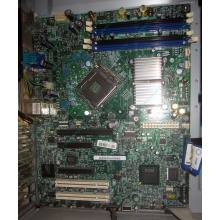 Материнская плата Intel Server Board S3200SH s.775 (Владивосток)