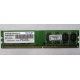 Модуль оперативной памяти 4Gb DDR2 Patriot PSD24G8002 pc-6400 (800MHz)  (Владивосток)
