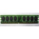 Модуль оперативной памяти 4096Mb DDR2 Patriot PSD24G8002 pc-6400 (800MHz)  (Владивосток)