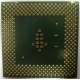 Процессор Intel Celeron 1000A SL5ZF (1000MHz /256kb /100MHz /1.475 V) s370 (Владивосток)