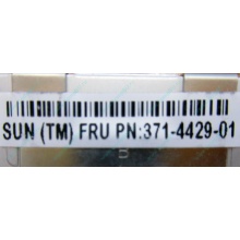 Серверная память SUN (FRU PN 371-4429-01) 4096Mb (4Gb) DDR3 ECC в Владивостоке, память для сервера SUN FRU P/N 371-4429-01 (Владивосток)