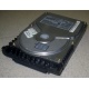 Жесткий диск 18.4Gb Quantum Atlas 10K III U160 SCSI (Владивосток)