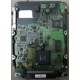Жесткий диск 18.4Gb Quantum Atlas 10K III U160 SCSI (Владивосток)