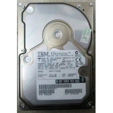 Жесткий диск 18.2Gb IBM Ultrastar DDYS-T18350 Ultra3 SCSI (Владивосток)