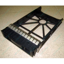 3.5" заглушки для серверов HP (Владивосток)