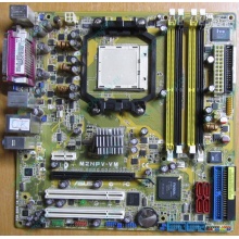 Материнская плата Asus M2NPV-VM s.AM2 (без задней планки) - Владивосток