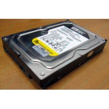 Жесткий диск 160Gb WD WD1602ABKS SATA (Владивосток)