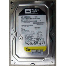 Жесткий диск 160Gb WD WD1602ABKS SATA (Владивосток)
