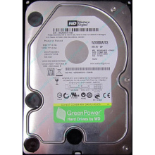Б/У жёсткий диск 500Gb Western Digital WD5000AVVS (WD AV-GP 500 GB) 5400 rpm SATA (Владивосток)