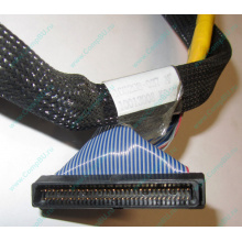 Кабель SCSI HP 166298-037 для HP ML370 G4 (Владивосток)