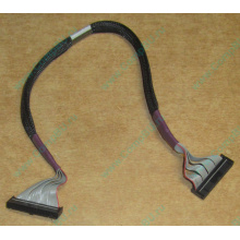 FDD-кабель HP 271946-006 для HP ML370 G3 G4 (Владивосток)