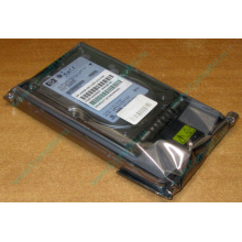 Жёсткий диск 146.8Gb HP 365695-008 404708-001 BD14689BB9 256716-B22 MAW3147NC 10000 rpm Ultra320 Wide SCSI купить в Владивостоке, цена (Владивосток).