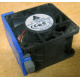 Вентилятор TFB0612GHE для корпусов Intel SR2300 / SR2400 (Владивосток)