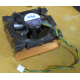 Intel D34088-001 s603 / s604 (Владивосток)