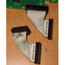 6017B0045701 Шлейф 24 pin для Intel C74974-401 T0043401-B01 корпуса SR2400 (Владивосток)