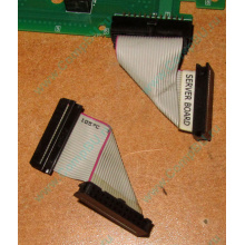 6017B0045701 Шлейф 24 pin для Intel C74974-401 T0043401-B01 корпуса SR2400 (Владивосток)