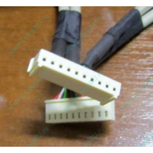 6017B0048101 в Владивостоке, USB кабель панели управления Intel 6017B0048101 для SR1400 / SR2400 (Владивосток)