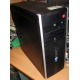 БУ компьютер HP Compaq Elite 8300 (Intel Core i3-3220 (2x3.3GHz HT) /4Gb /250Gb /ATX 320W) - Владивосток
