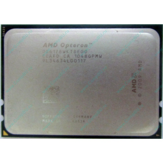 AMD Opteron 6128 OS6128WKT8EGO (Владивосток)