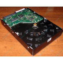 Жёсткий диск 2Tb Samsung HD204UI SATA Б/У (Владивосток)