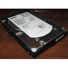Жесткий диск 300Gb 15k Dell 9CH066-050 6G SAS (Seagate Cheetach ST3300656SS 15K.6) - Владивосток